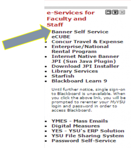 Id Parking Portal And Starfish Ysu