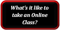 whats it like to take an online class button